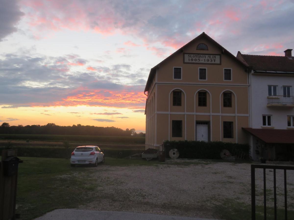 Mill House Apartment And Camping ليوتومير المظهر الخارجي الصورة
